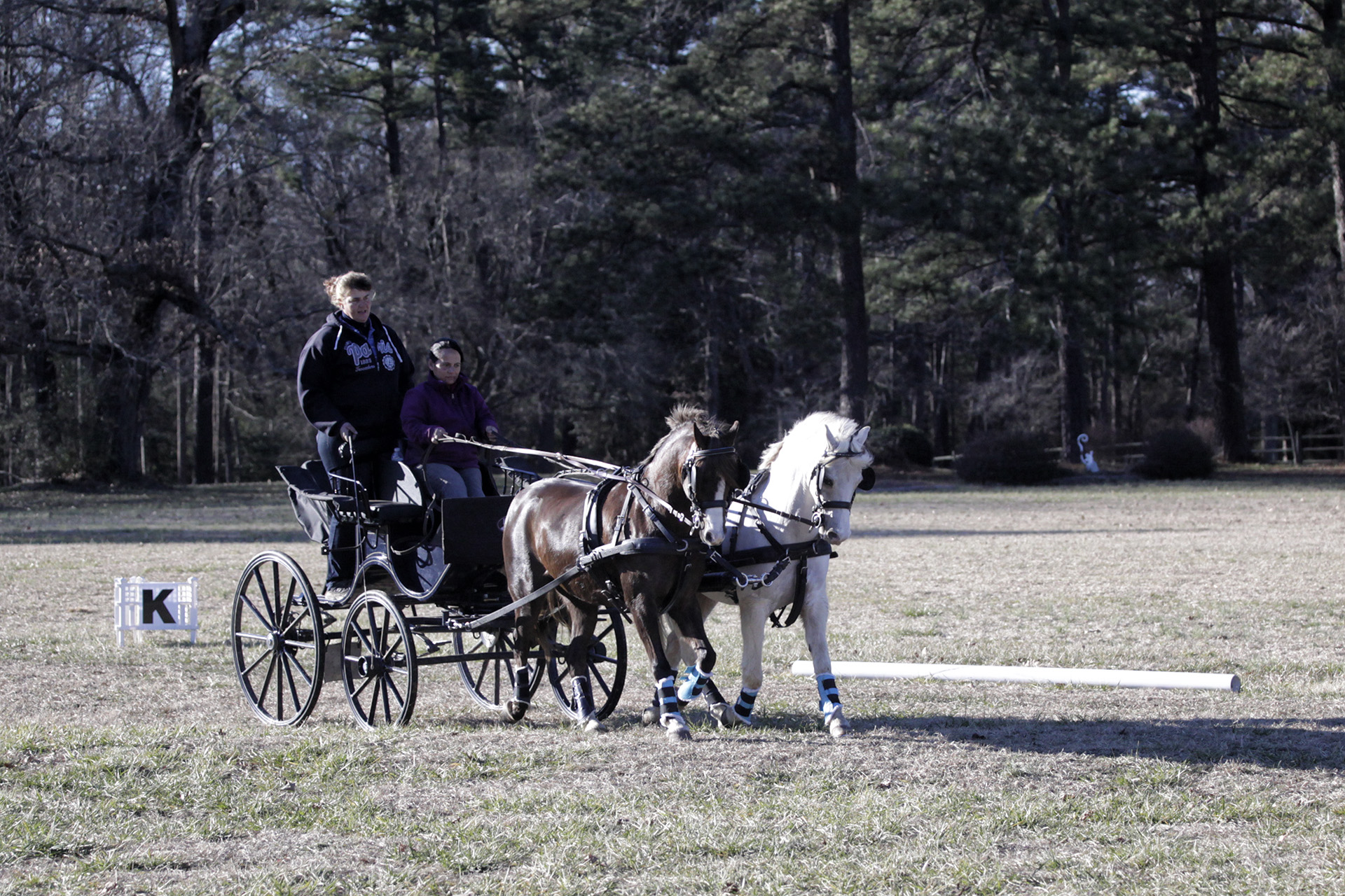 Southern Pines Adventure Clinic with my ponies