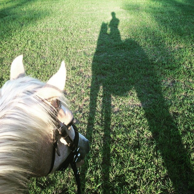 Summer Doldrums No motivation means no progress