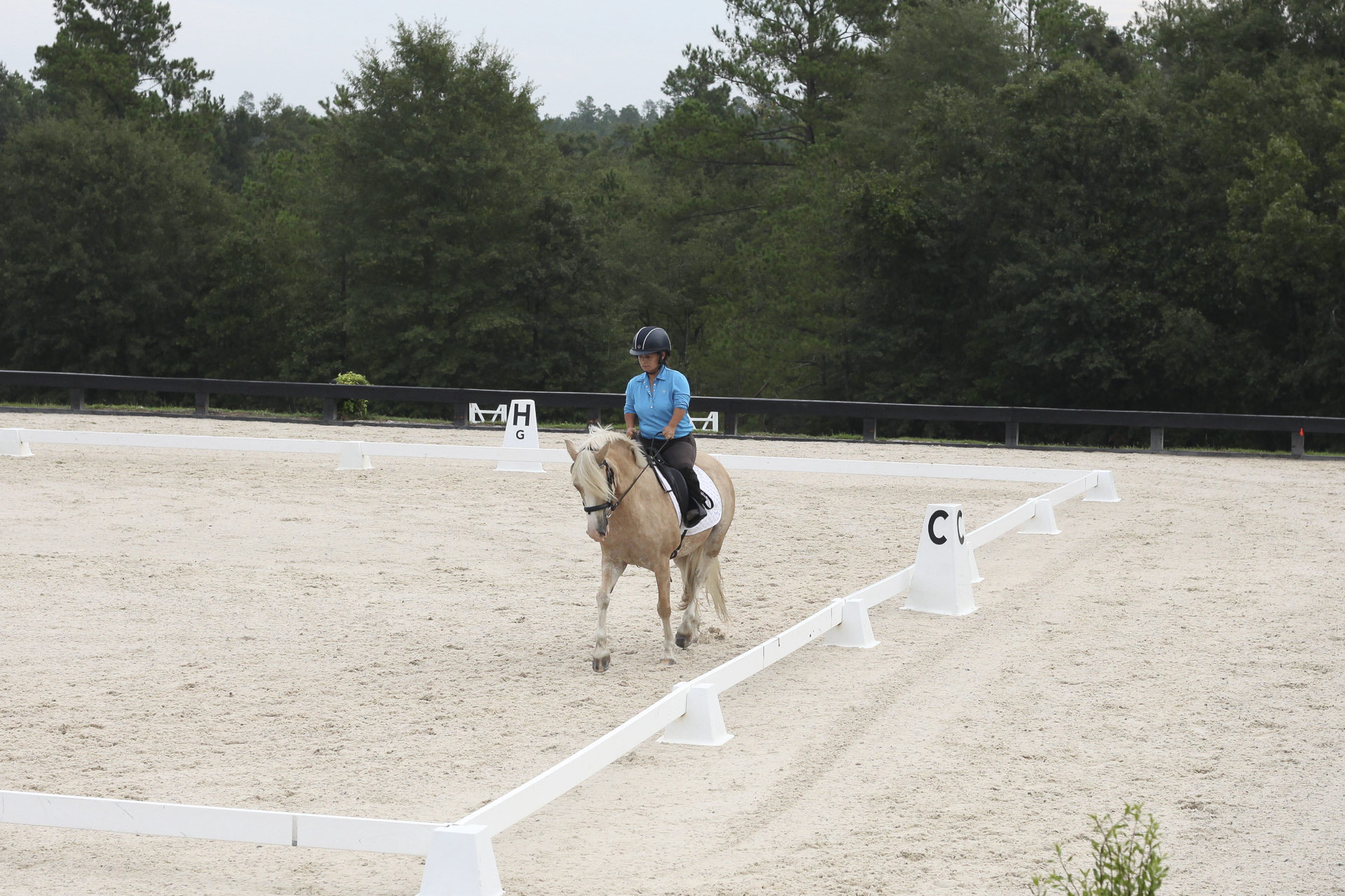 Three Runs Schooling Show Zoey the Super Star