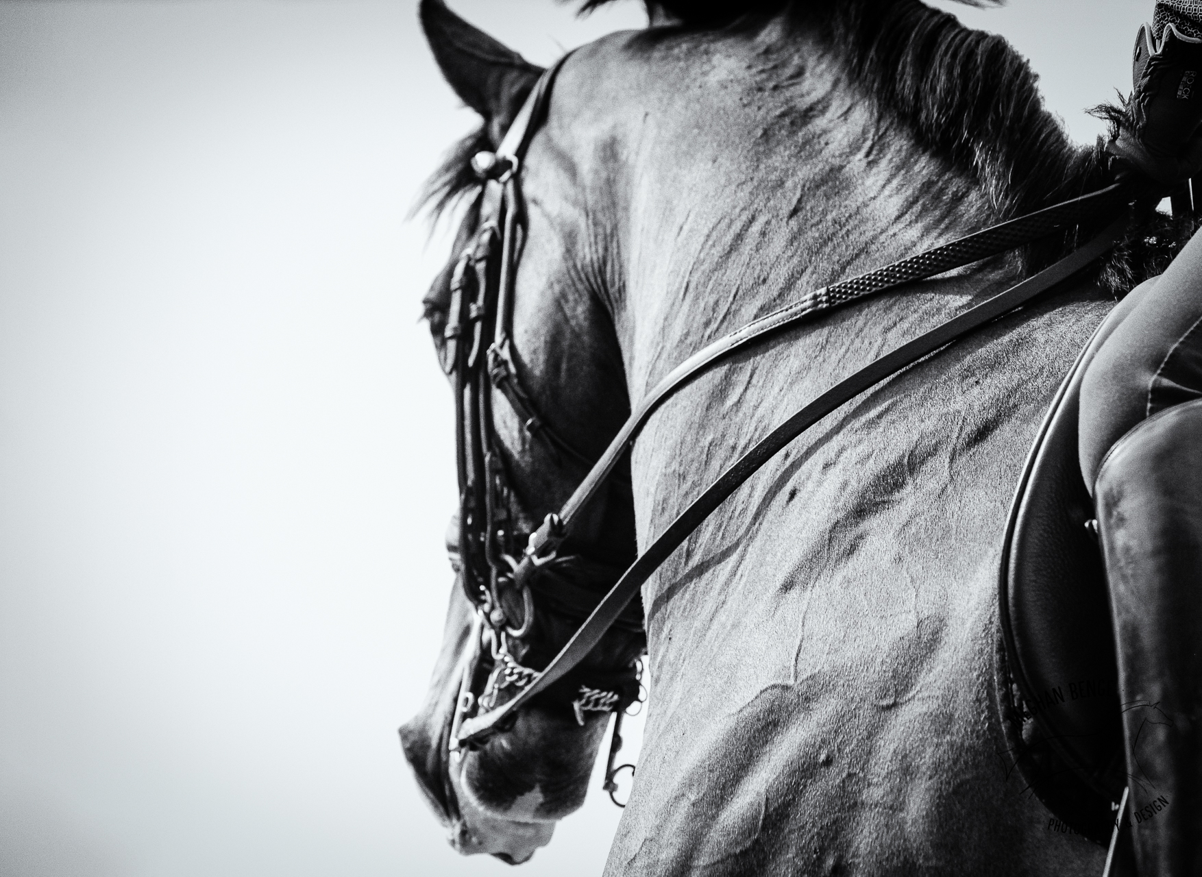 Messing around in Wellington Part 1, mostly photos.