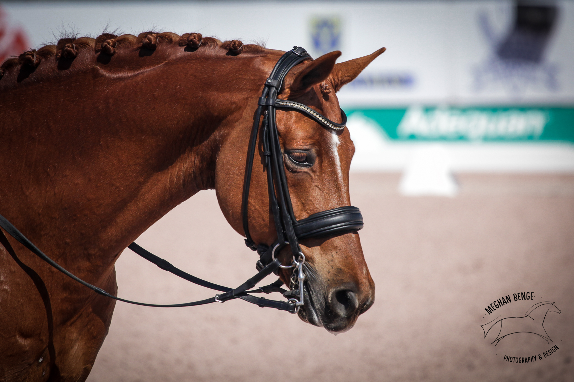 Getting Classified Warning: Word vomit follows