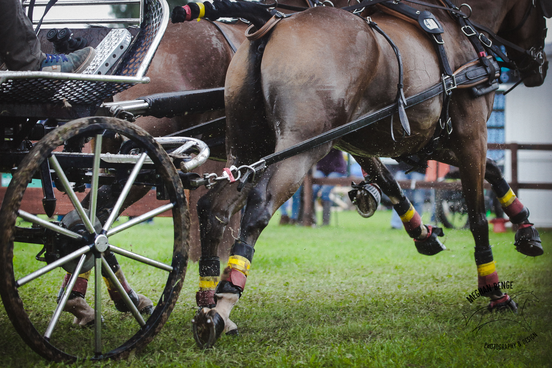 pony-worlds-minden-2017-7206-web.jpg