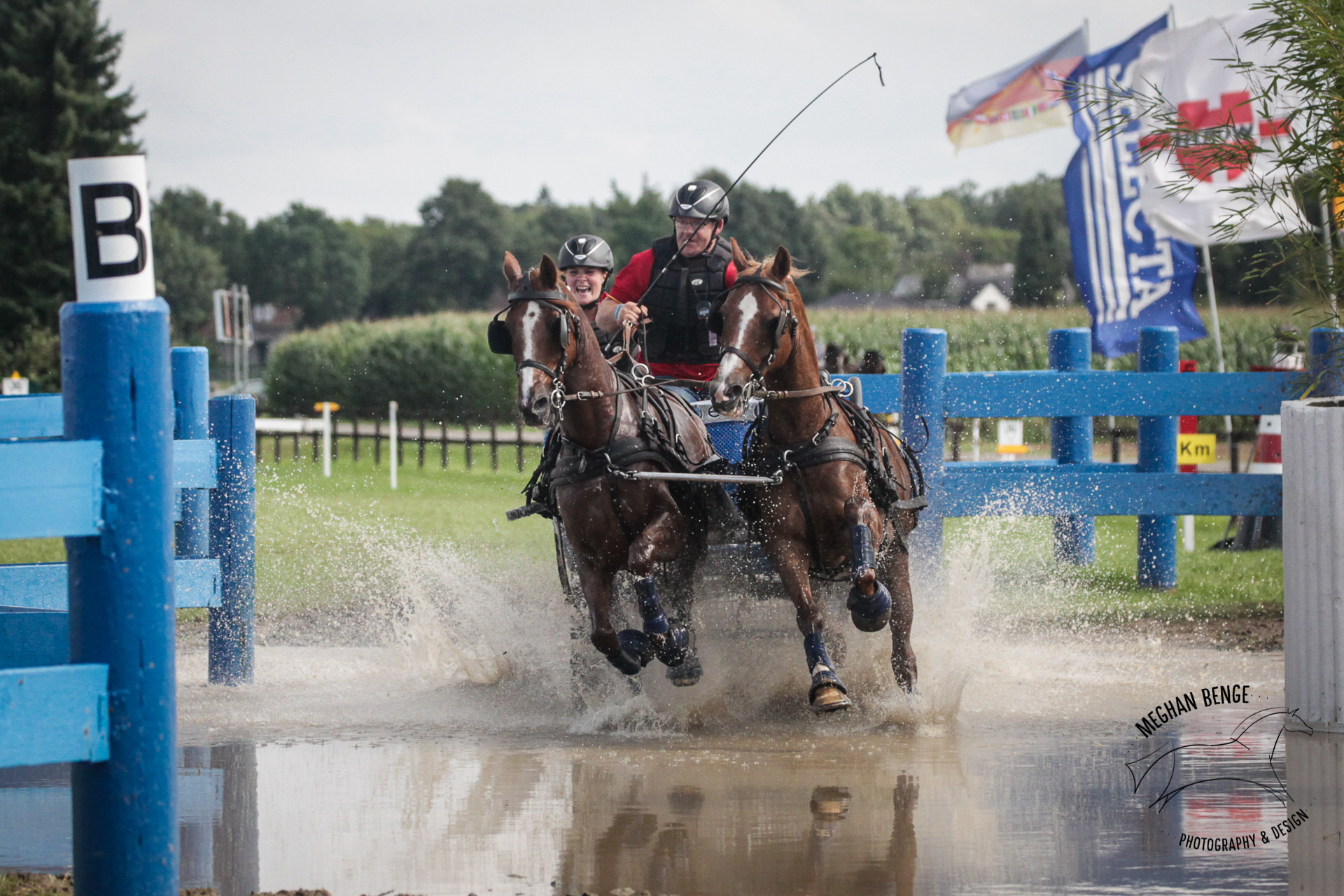 pony-worlds-minden-2017-7328-web.jpg