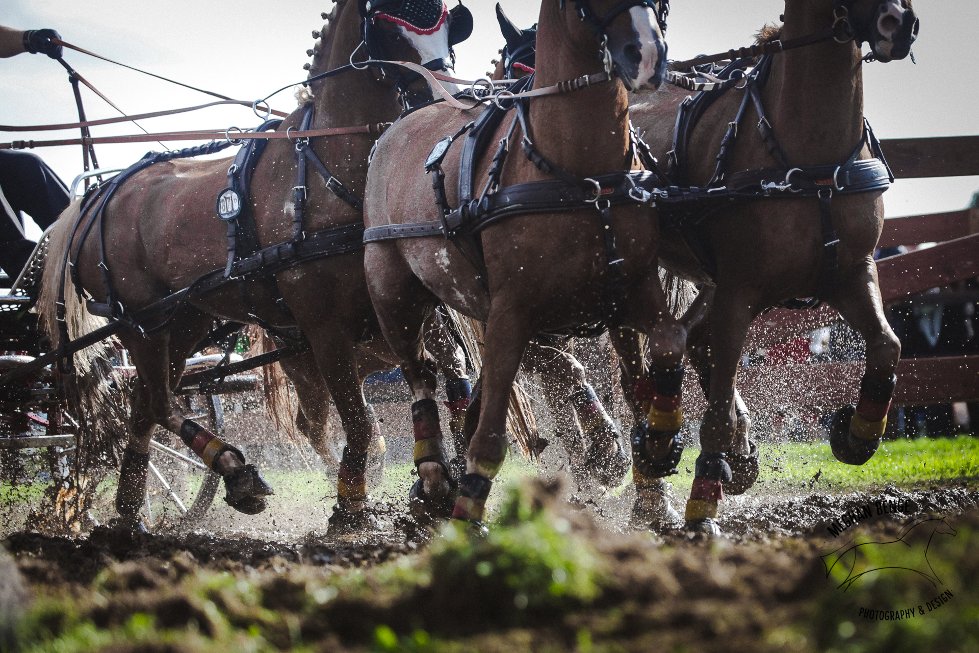 pony-worlds-minden-2017-7501-web.jpg