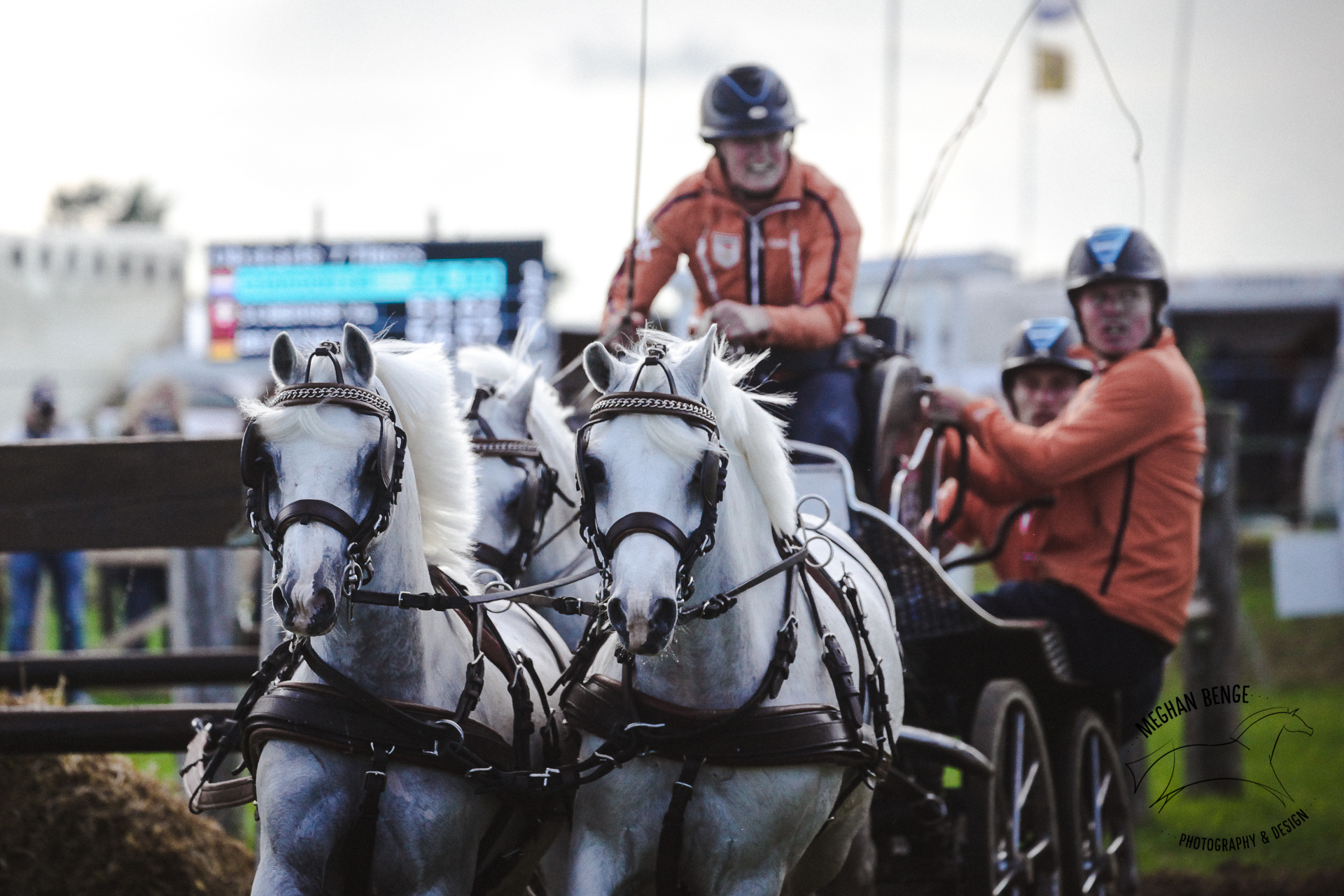 pony-worlds-minden-2017-7599-web.jpg