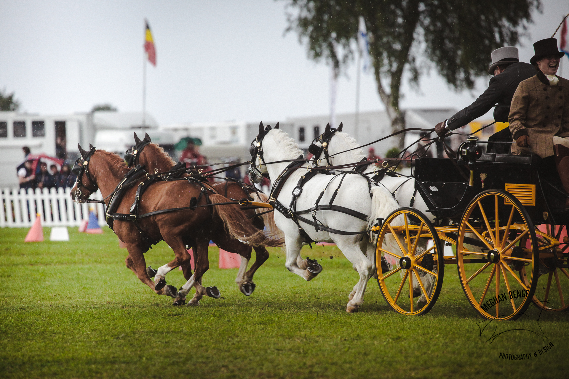 pony-worlds-minden-2017-7820-web.jpg
