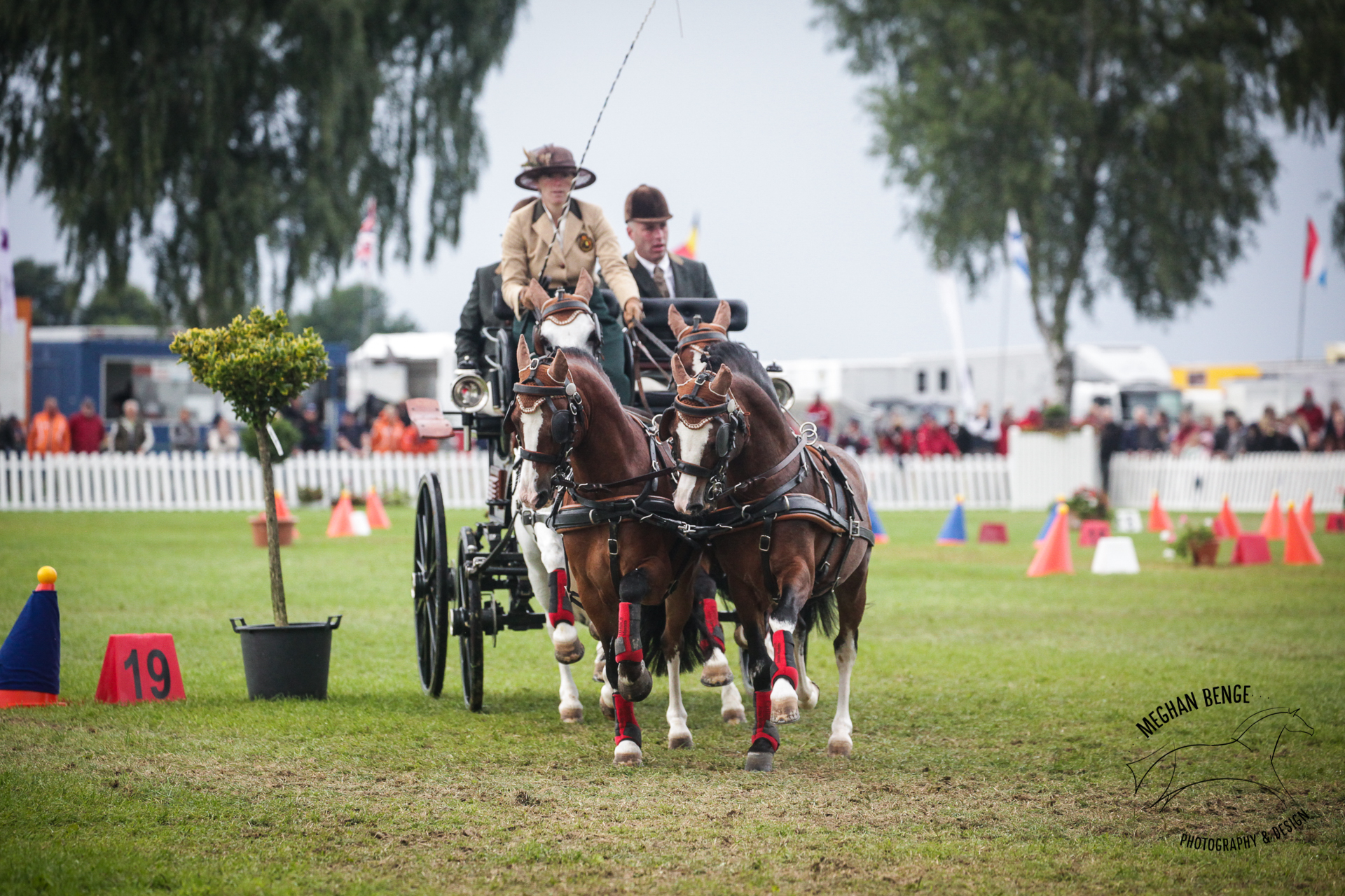 pony-worlds-minden-2017-7831-web.jpg