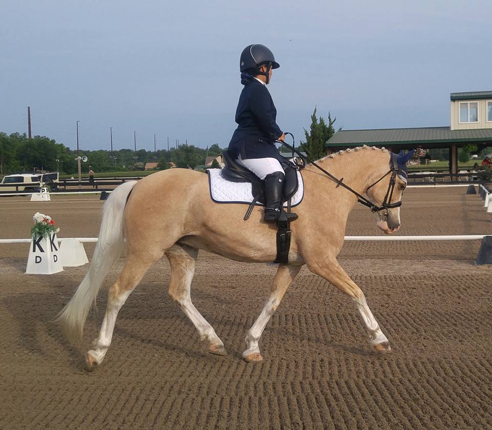 Aiken May Day Dressage Show Show Recap