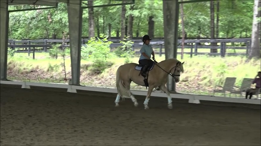 Stephen Hayes Clinic